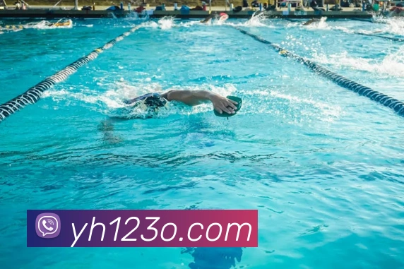 平台展示图